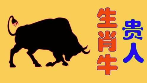 2018牛牛精品视频在线观看,年度热门影视盛宴回顾