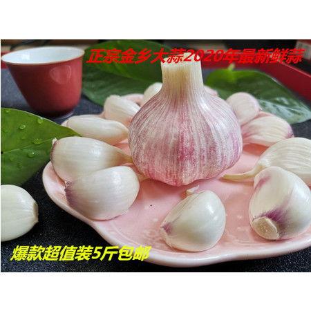 蒜精品,品味生活——蒜精品的美食之旅