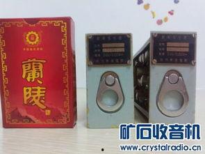 国产精品入