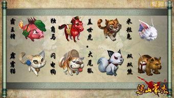 兽精品,揭秘神奇动物的魅力与奥秘